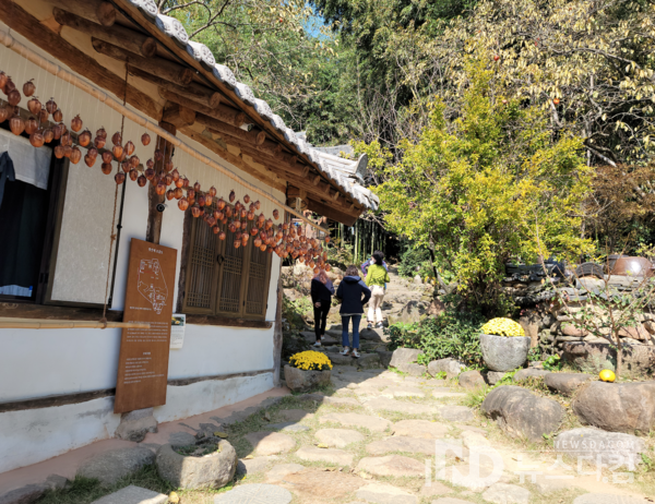 지난 6일 오후 전남 구례군 상시마을 쌍산재 안의 모습