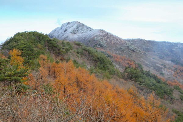 [사진=구례군]