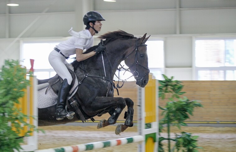 장수군, 대한승마협회장배 전국승마선수...