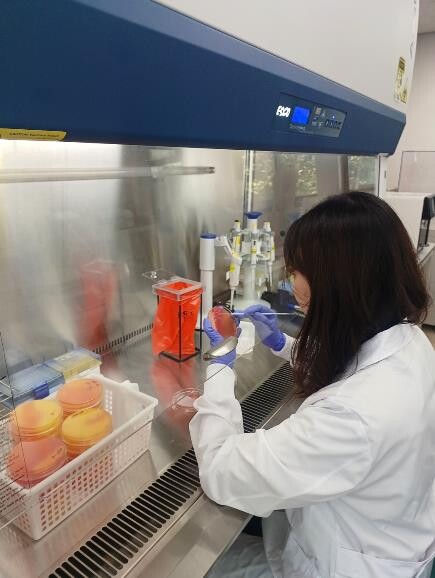 대구시, 설 성수식품 안전성 검사 실...